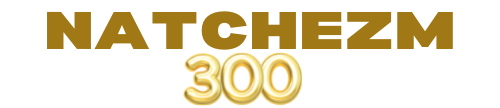 Natchez Ms 300 logo